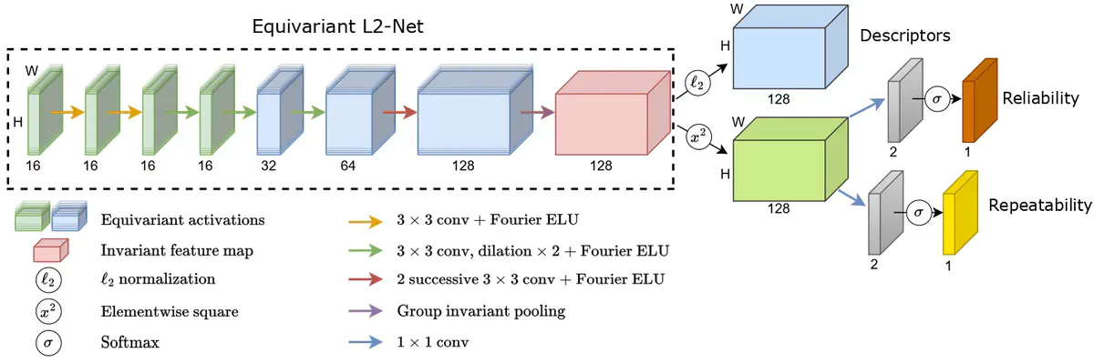 C-3PO: Towards Rotation Equivariant Feature Detection and Description