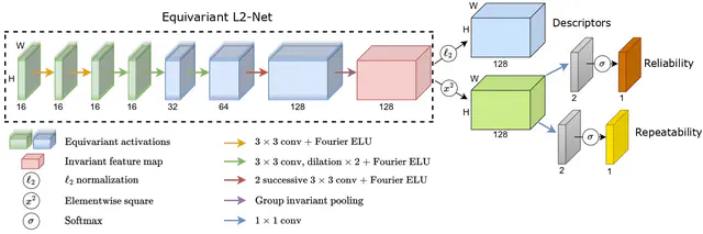 C-3PO: Towards Rotation Equivariant Feature Detection and Description